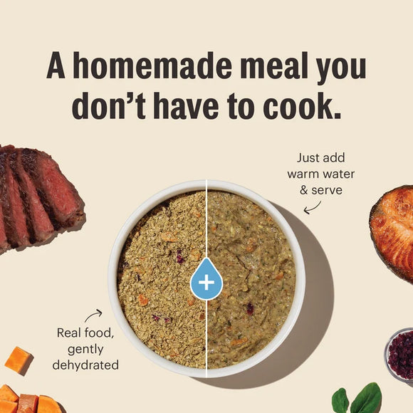 The Honest Kitchen - Dehydrated - Gourmet Grains Chicken & Duck (Dog Food)