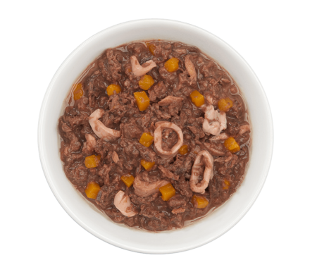 Tiki Cat - Aloha Friends - Tuna, Calamari & Pumpkin (For Cats)