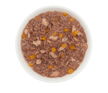 Tiki Cat - Aloha Friends - Tuna, Tilapia & Pumpkin (For Cats)