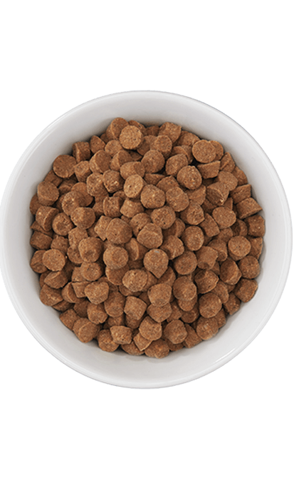 Tiki Cat - Born Carnivore Silver - Senior Health Chicken & Herring Meal  (For Cats)