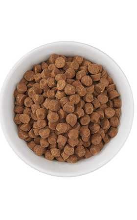 Tiki Cat - Born Carnivore Silver - Senior Health Chicken & Herring Meal  (For Cats)