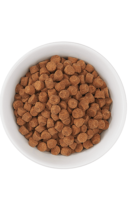 Tiki Cat - Born Carnivore - Deboned Chicken & Egg (For Cats)