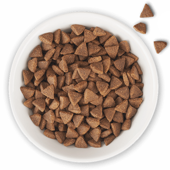 Tiki Cat - Born Carnivore - Indoor Health: Trout & Menhaden Fish Meal Recipe (For Cats)