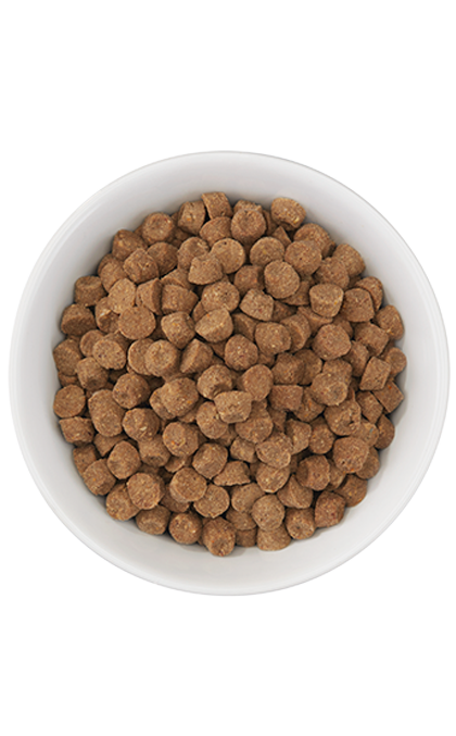 Tiki Cat - Born Carnivore - Herring & Salmon (For Cats)