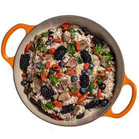 Tom & Sawyer - Goji Berry Beef (For Dogs) - Frozen Product