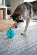 Totally Pooched - Stuff'n Wobble Ball, 5", Teal (For Dogs)