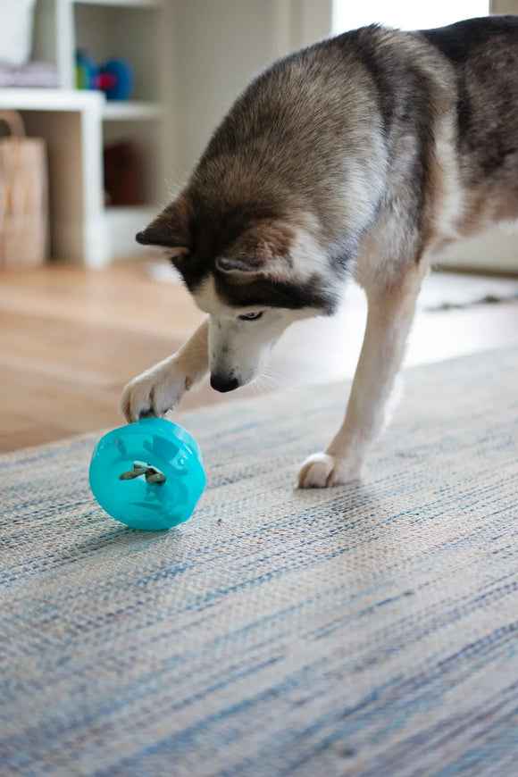 Totally Pooched - Stuff'n Wobble Ball, 5", Teal (For Dogs)