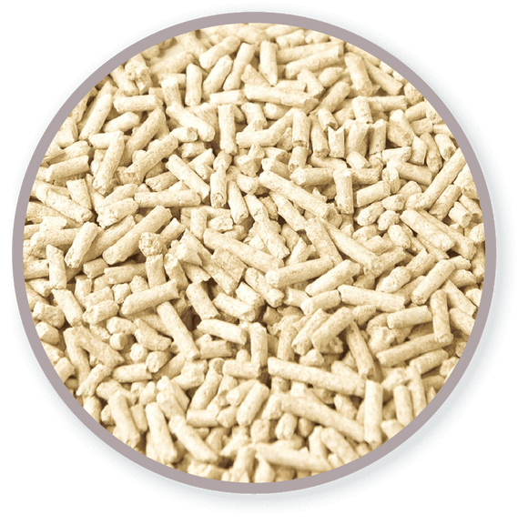 Totol | Original Tofu Cat Litter Toronto | ARMOR THE POOCH