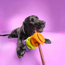 WAGLAB PlayStack The Bully, Orange (For Dogs)