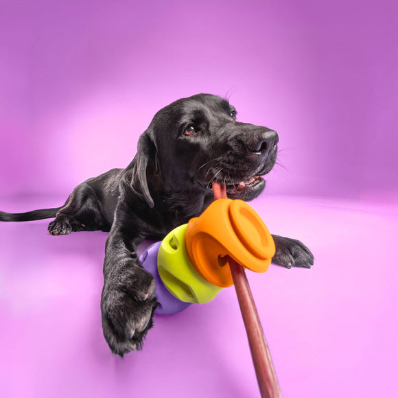 WAGLAB PlayStack The Bully, Orange (For Dogs)
