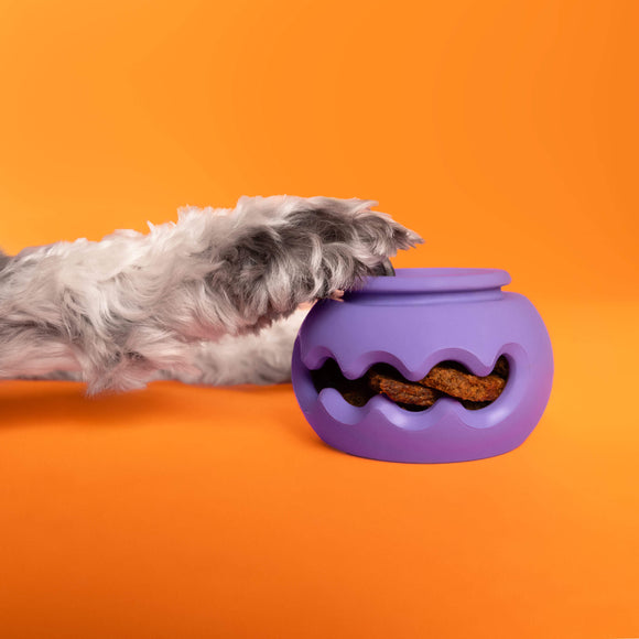 WAGLAB PlayStack The Squiggle, Purple (For Dogs)