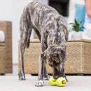 West Paw - QWIZL Puzzle (For Dogs)