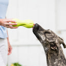 West Paw - QWIZL Puzzle (For Dogs)