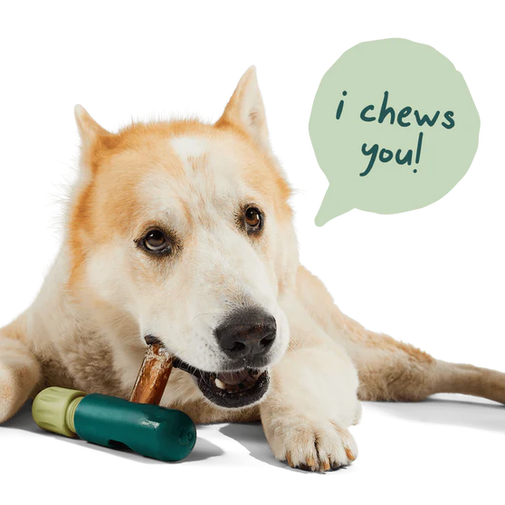 Woof - The BullySafe - Bully Stick Holder (For Dogs)