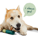 Woof - The BullySafe - Bully Stick Holder (For Dogs)