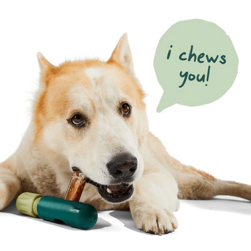 Woof - The BullySafe - Bully Stick Holder (For Dogs)