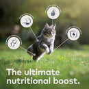 ZiwiPeak - Variety Pack Wet Food (For Cats)