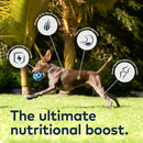 ZiwiPeak - Variety Pack Wet Food (For Dogs)