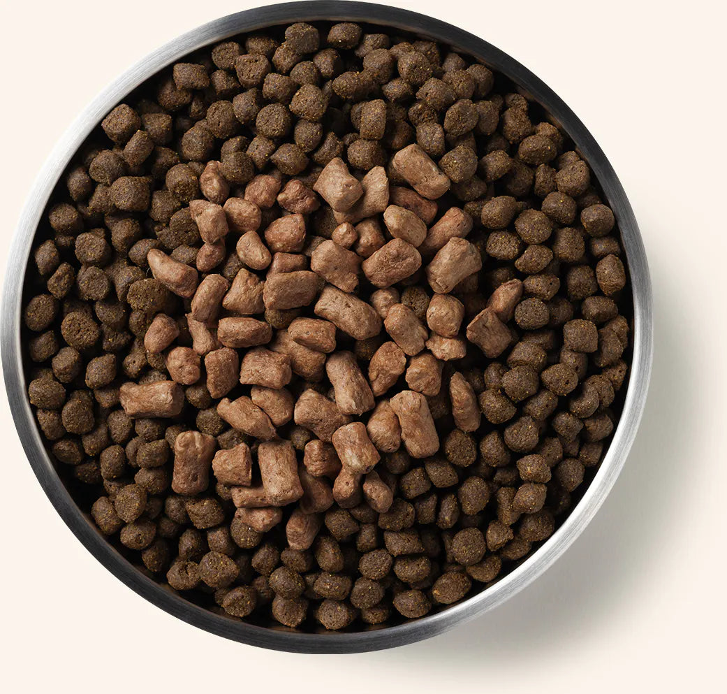 Vital Essentials (VE) - Protein Mix In - Freeze-Dried Beef Mini Nibs Topper (For Dogs)