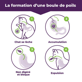 baci+ - Hairball Finicky Cats