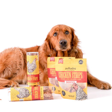 polkadog - Chicken Strip Shorties (Dog Treats)