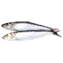 Big Country Raw - Sardines (1lb) - Frozen Product