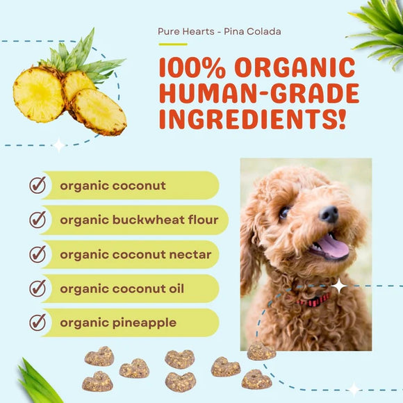 coco therapy - Coconut Cookies Piña Colada (For Dogs)