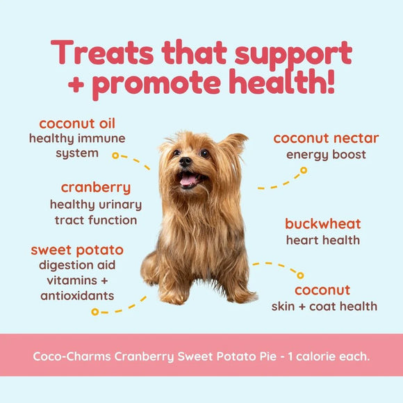coco therapy - Training Treats - Cranberry Sweet Potato Pie (For Dogs)