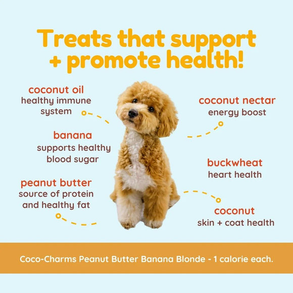 coco therapy - Training Treats - Peanut Butter Banana Blondie (For Dogs)