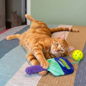 KONG Sport PicklePaw catnip cat toy 2