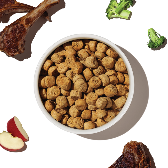 The Honest Kitchen Grain Free Lamb Whole Food Clusters