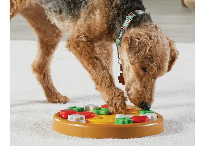Brightkins - Pizza Party! Treat Puzzle (For Dogs)