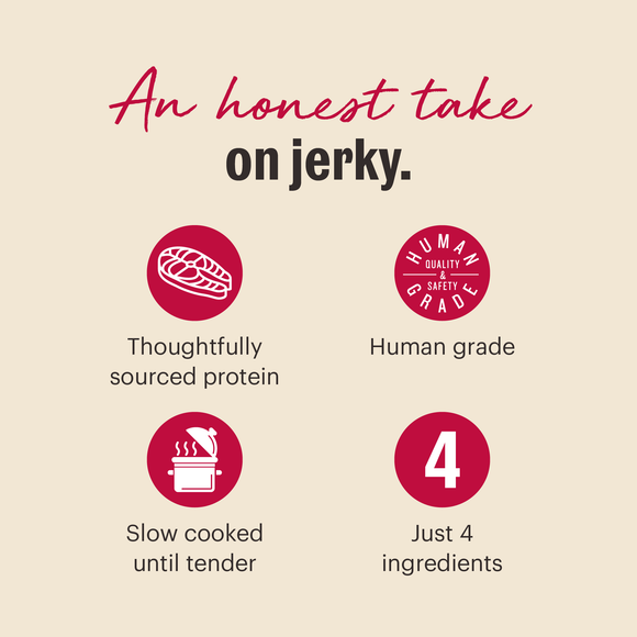 The Honest Kitchen Slow Cooked Salmon Jerky Chews treat