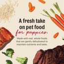 The Honest Kitchen Wholemade Whole Grain Beef & Salmon for Puppies