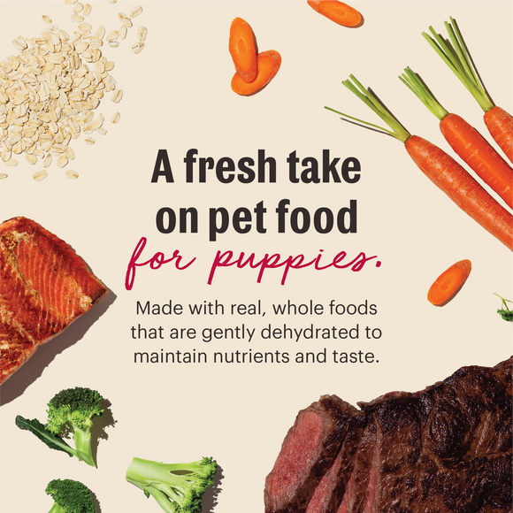 The Honest Kitchen Wholemade Whole Grain Beef & Salmon for Puppies