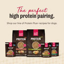 The Honest Kitchen Protein Plus+ Grain Free Fish Topper