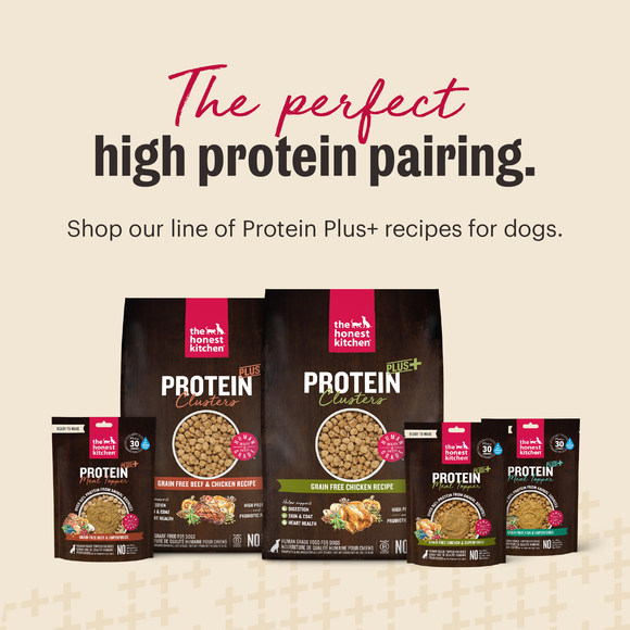 The Honest Kitchen Protein Plus+ Grain Free Fish Topper