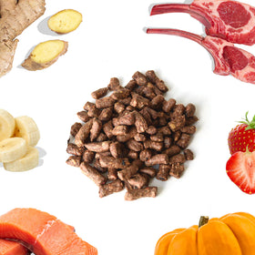 healthybud - Freeze-Dried Lamb & Salmon Meal Bites (For Dogs)