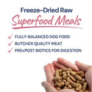 healthybud - Freeze-Dried Lamb & Salmon Meal Bites (For Dogs)