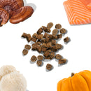 healthybud - Salmon Mini Training Treats (For Dogs)