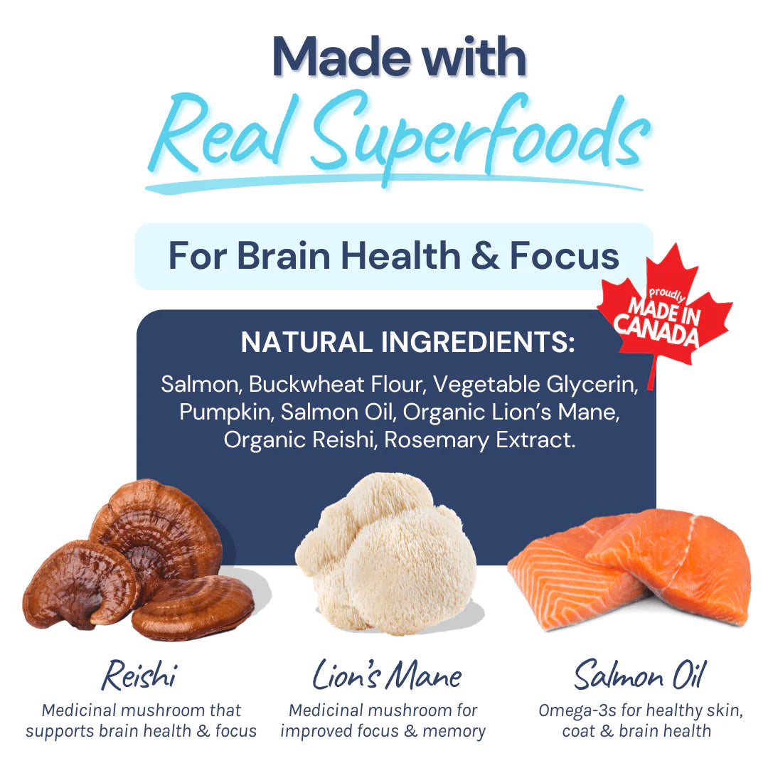 healthybud - Salmon Mini Training Treats (For Dogs)