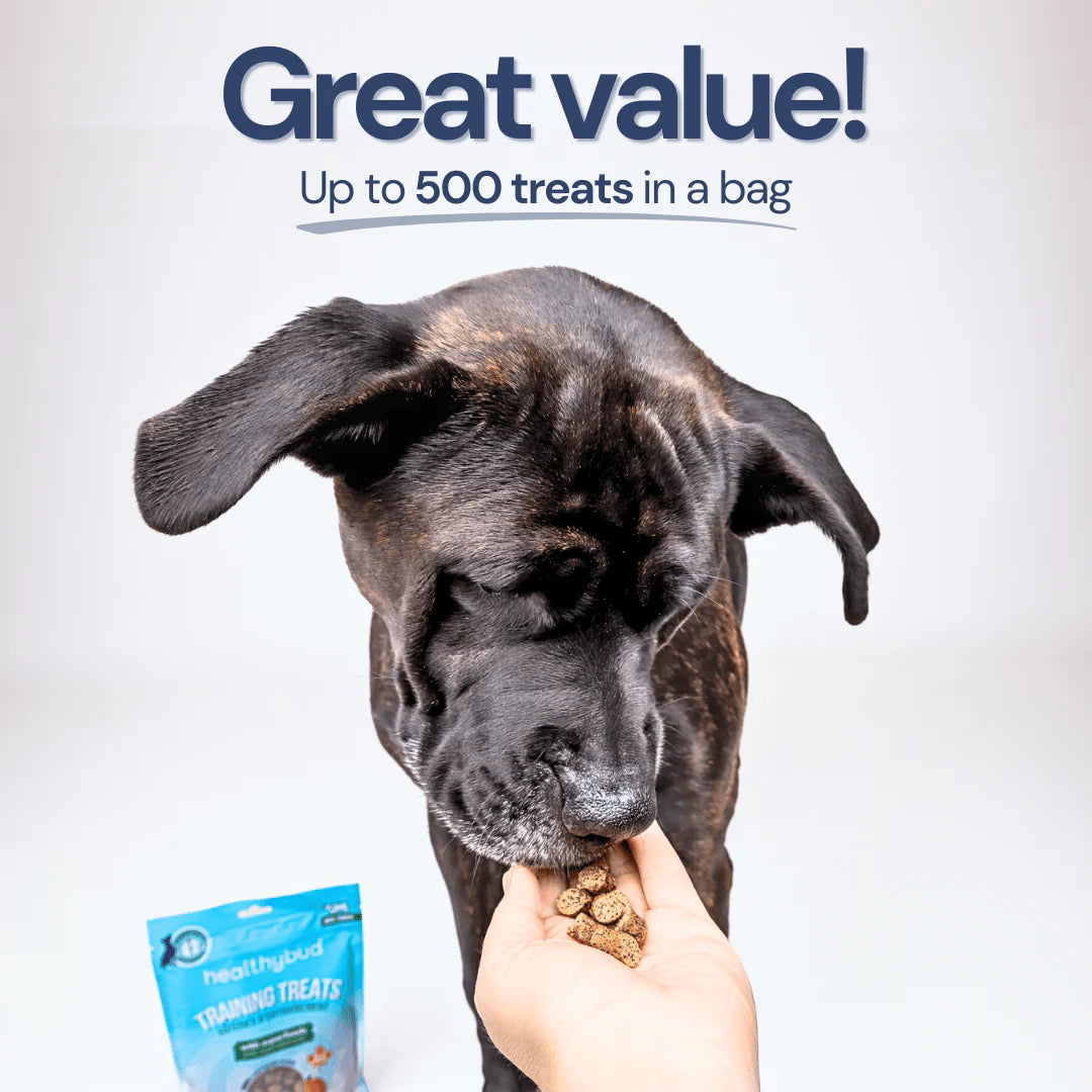 healthybud - Salmon Mini Training Treats (For Dogs)