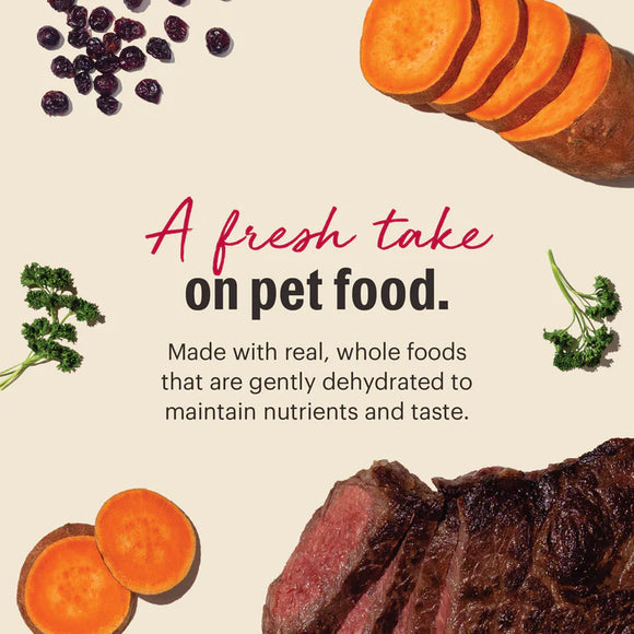 The Honest Kitchen - Dehydrated - Grain Free Beef Recipe (Dog Food)