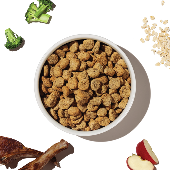 The Honest Kitchen Whole Grain Lamb Whole Food Clusters