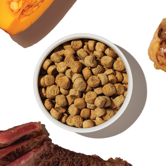 The Honest Kitchen Grain Free Beef & Chicken Protein Plus+ Clusters