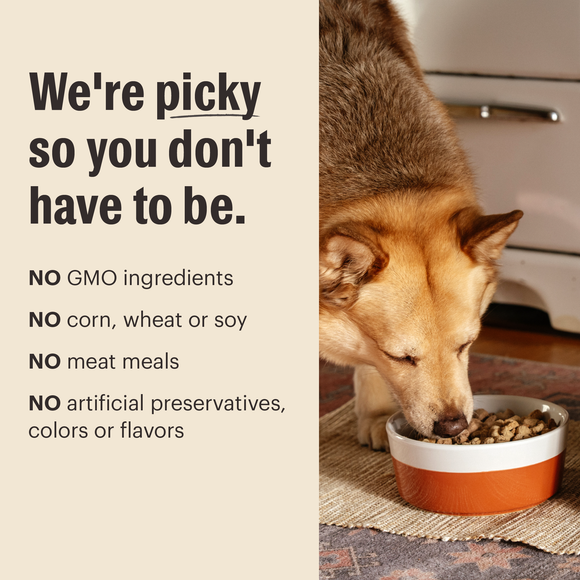 The Honest Kitchen Grain Free Beef & Chicken Protein Plus+ Clusters