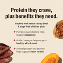 The Honest Kitchen Grain Free Beef & Chicken Protein Plus+ Clusters