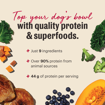 The Honest Kitchen Protein Plus+ Grain Free Chicken Topper