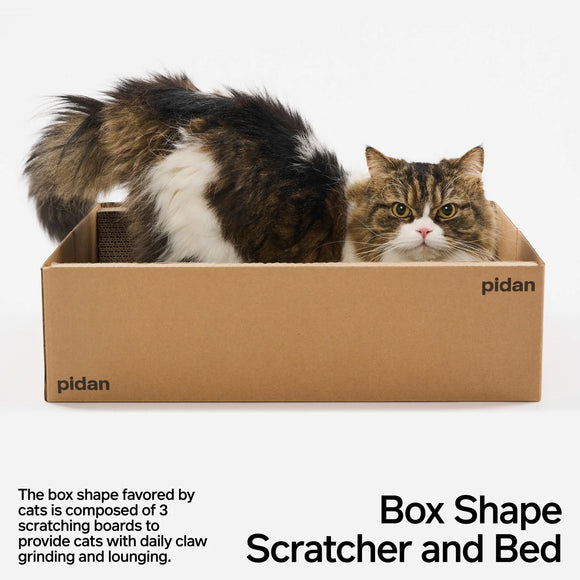 pidan - Cat Scratcher Board - Box