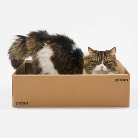 pidan - Cat Scratcher Board - Box